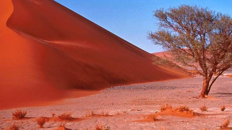 Sand Dunes, Central Africa